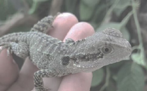 С��������300��