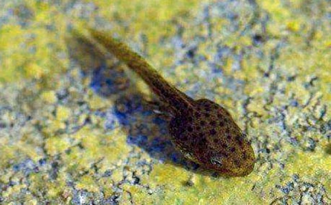 �����A��С����ҋ����̰���ƪ