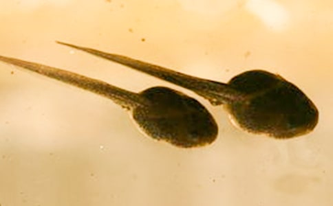 С����ҋ����ă�(y��u)��̰��O(sh��)Ӌ(j��)�����x10ƪ��