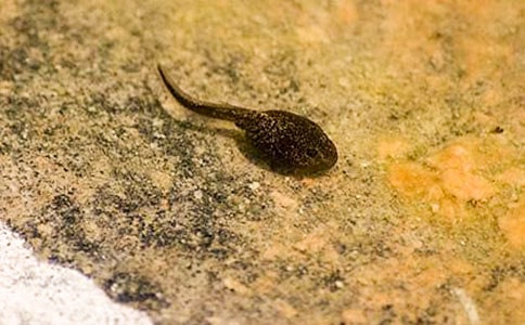 �P(gu��n)��С����ҋ����̰�3ƪ