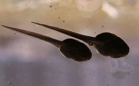 �����ؓ�x���x���