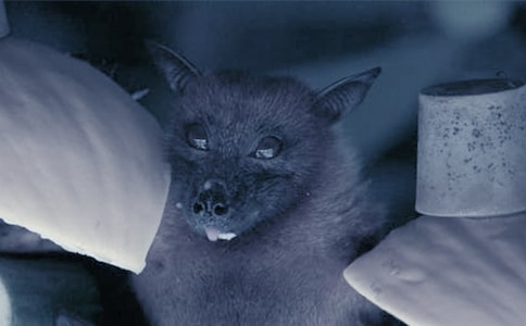 �������𡷵��x���