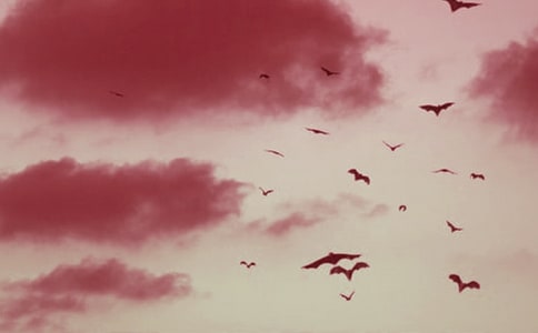 �������𡷵��x��з��ģ����x5ƪ��