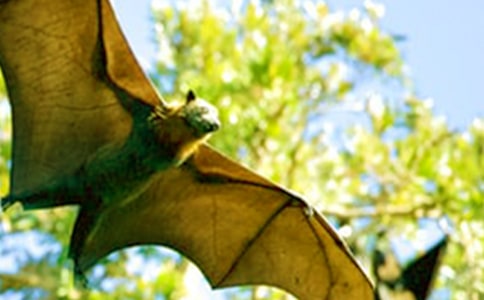 �n�ġ���������_(d��)���Ľ̌W(xu��)�O(sh��)Ӌ(j��)����