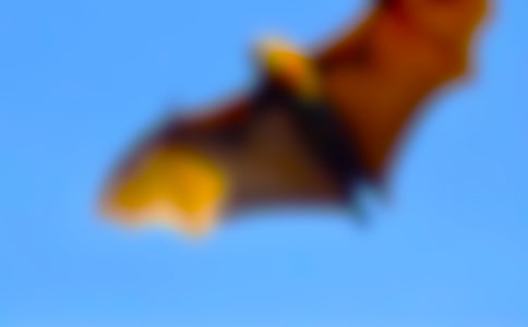 �����A����������_(d��)�̰�3ƪ