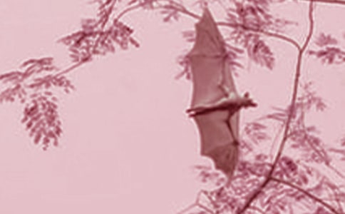 �������𡷵��x��У����x6ƪ��