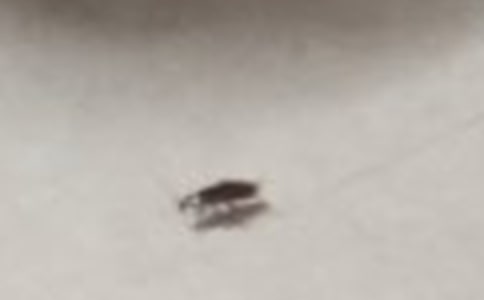 �������400��3ƪ