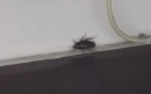 �������,�䘷�o(w��)�F��һ����