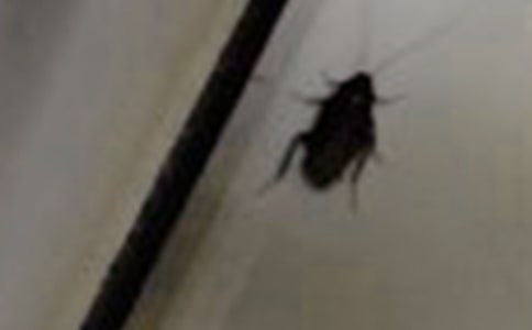 ���������400��