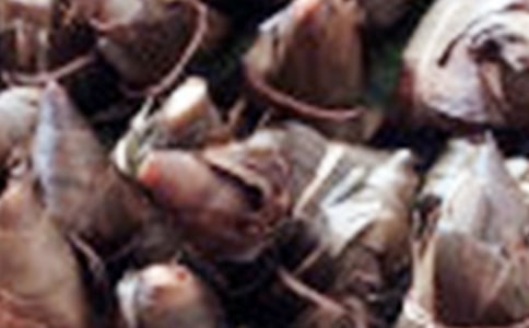 ��ϲ�g���������ķ��ģ����x3ƪ��